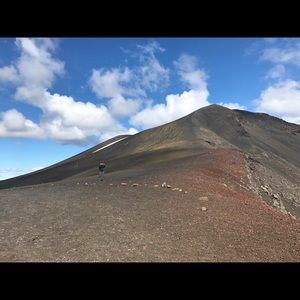 Meet your Posher, Bridget